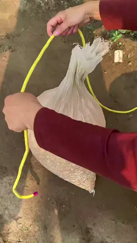 Useful pocket knot #bushcraft #outdoor #ropetrick #fyp #tipsandtricks