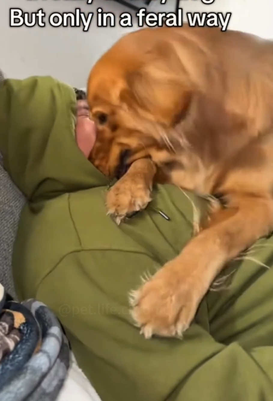 No personal space😭😭😭#dog #funny #pets #fyp #cute #happy #funny videos😂 #animals #dogsoftiktok 
