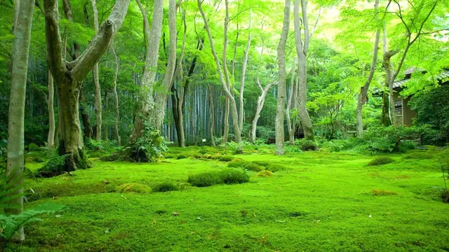 exploring nature