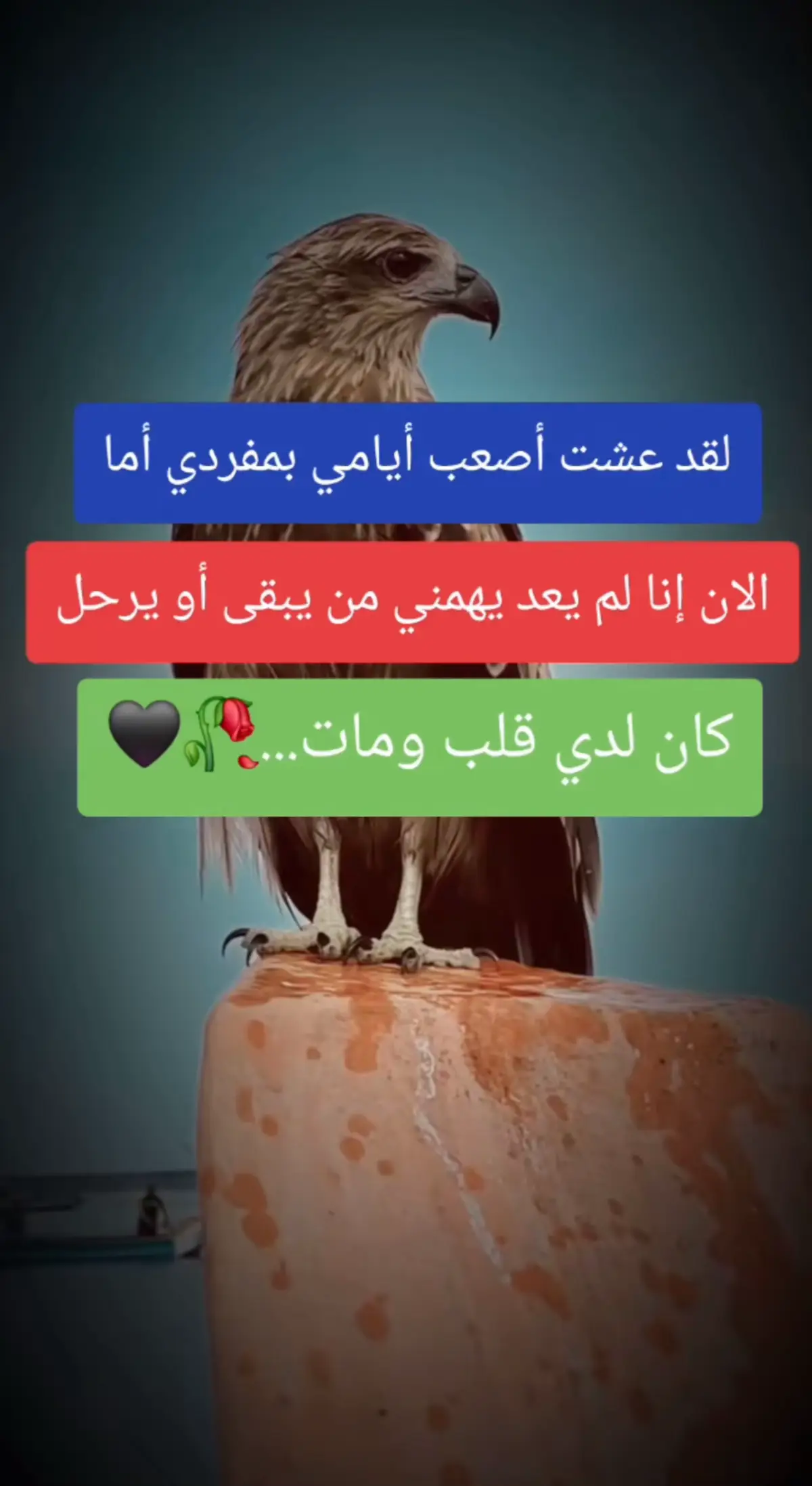 #اقتباسات_عبارات_خواطر🖤🦋❤️ #عبارات_جميلة_وقويه😉🖤 #عبارات_حزينه💔 #ذي_قار #قضاءالشطرة🌹💔 