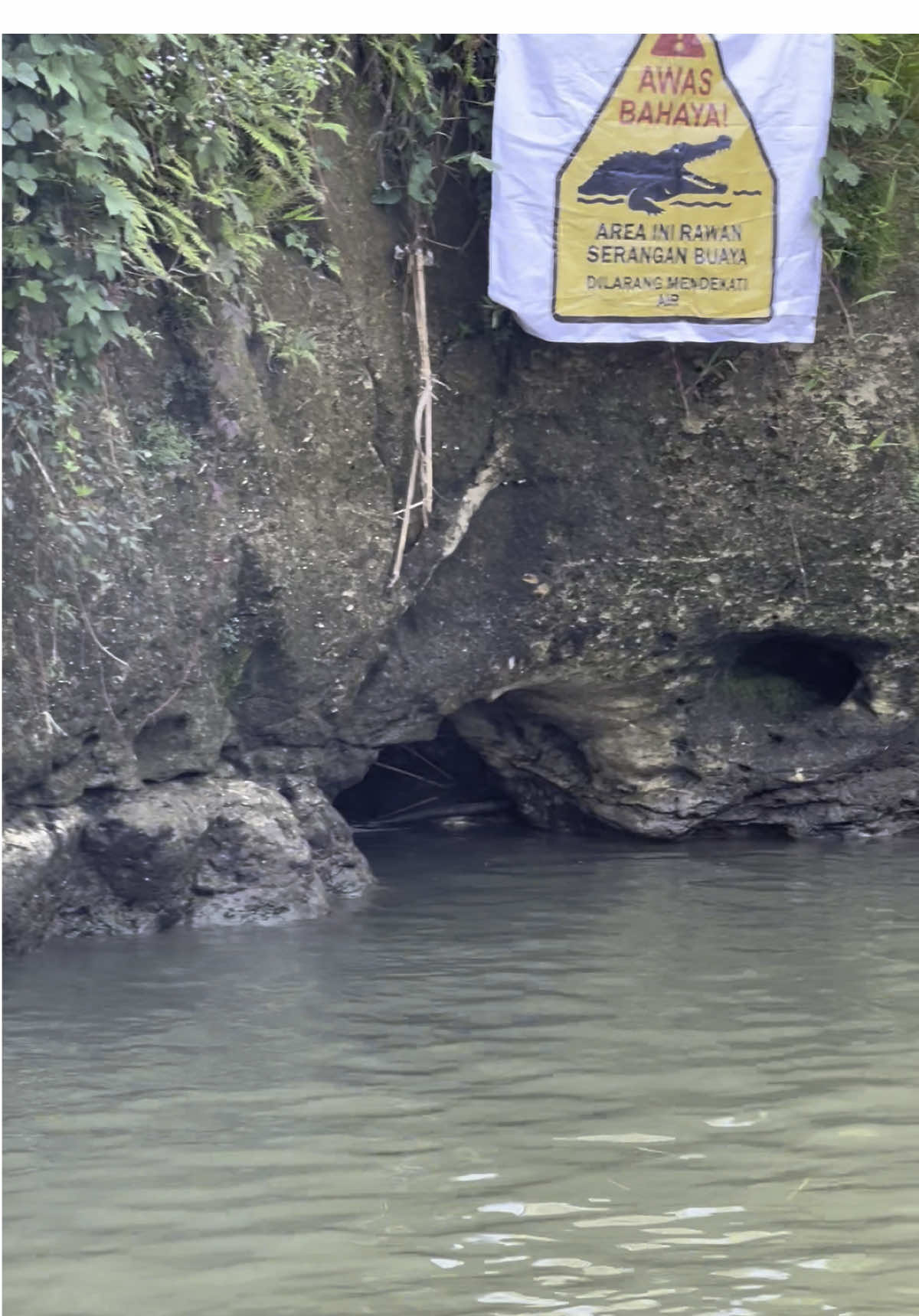sungai terlarang #sungaiamazon #buaya🐊 #fyp #viral 