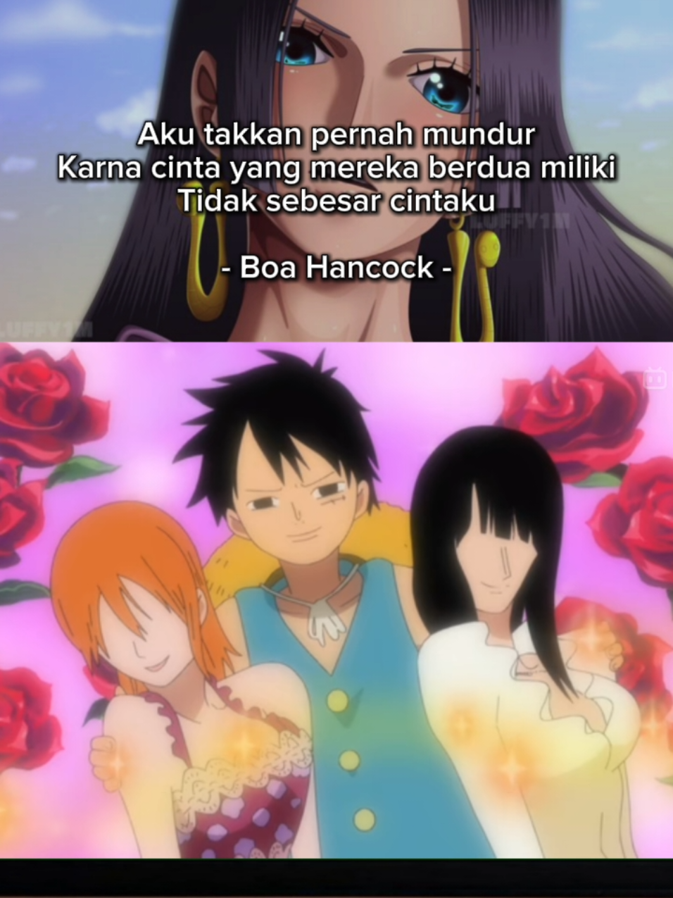 Reaksi hancock ada nami dan robin di kru luffy #luffy #zoro #nami #usopp #sanji 
