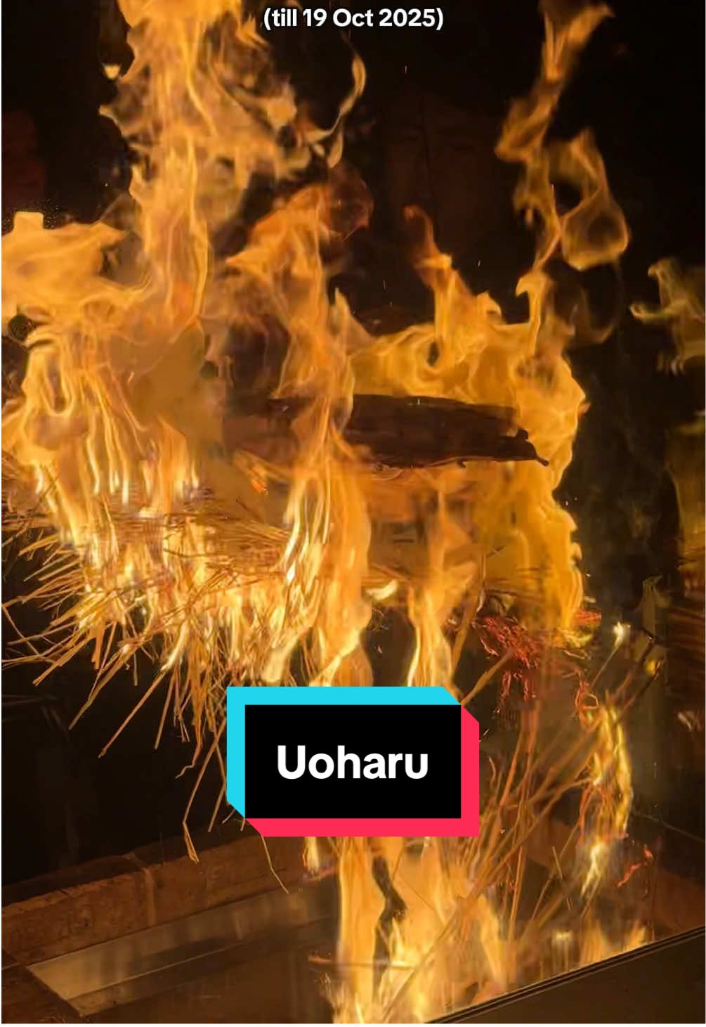 This might be my new fav izakaya spot! Uoharu celebrates their first year anniversary with exclusive limited-time dishes along with a slew of fun activities like nightly live fire-show, egg-slide challenge, hands-on mochi pounding experience, interactive activities where you can take Polaroid photos and win a free shot of sake, and try your luck in picking a Fuku Stick, offering surprises like free beer, complimentary dishes, and more!  📍UOHARU 2 Central Boulevard 01-16 IOI, Central Boulevard Towers Singapore 018916  #sgfoodie #sgeats #sgrestaurant #sgtiktok #japanesefood 
