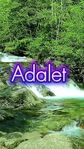 kısa kuran ayeti, günlük ayet, kuran tiktok, islam tiktok, dini video, kuran sözleri, kuran meali, 1oyundurhayat, islami içerik, tiktok kuran, ayet paylaşımı, kuran dinle, ayet videosu, dini motivasyon, tiktok islam, kuran 15 saniye, tiktok shorts kuran, kuran öğren, anlamlı ayetler