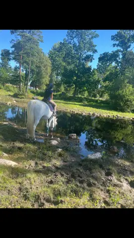 Lillasyster fick rida lite idag❤️ James var ju lika duktig som vanligt och så snäll❤️#viral #fyppppppppppppppppppppppp #james #gåviral #hearthorse 