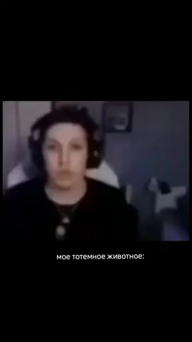#история #мазелов #мазеловтвитч #мазеловумер #рек#рекомендации 