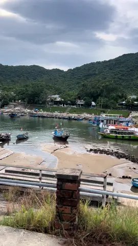 Đảo cù lao chàm #phongcanhvietnam #phươtđammê #congtuannhaclinh #cảnhđẹpthiênnhiên 