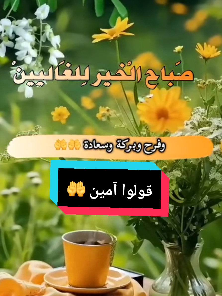 صباح الخير للغاليين بداية أسبوع موفقة للجميع 🥰🪻 #صباح_الخير #بداية_اسبوع_موفقة  #صباح_الورد  #فوريو 