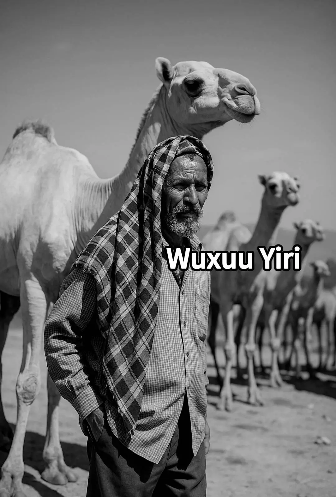 Noloshqqn u sahan taga Sadkeedii wuu go'an  #suugaan #somalitiktok #burcotogdhersomaliland💚🤍❤️ #fouryoupage #fkypシ @SomaliGamergg1 @Daganeyy❤️👸 @ayeeyo 👑🖤✨️ 