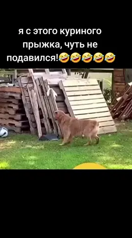 #веселушка☝️🤣🤣🤣🤣 