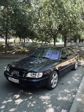 707🇰🇿 #shymkent #707 #audi 