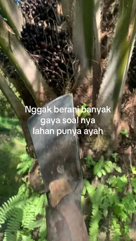 fyppp bismillah 