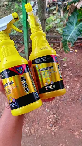 super effective pala nito.  #flyspray #insectspray  #sprayforinsect #fypシ 