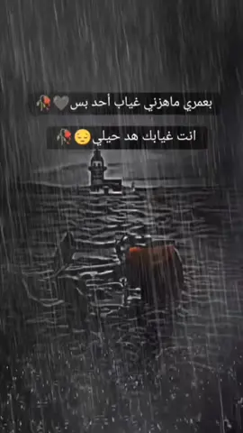 #في هذا اليوم 