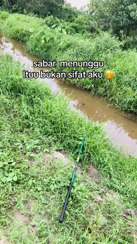 #ikan pun select