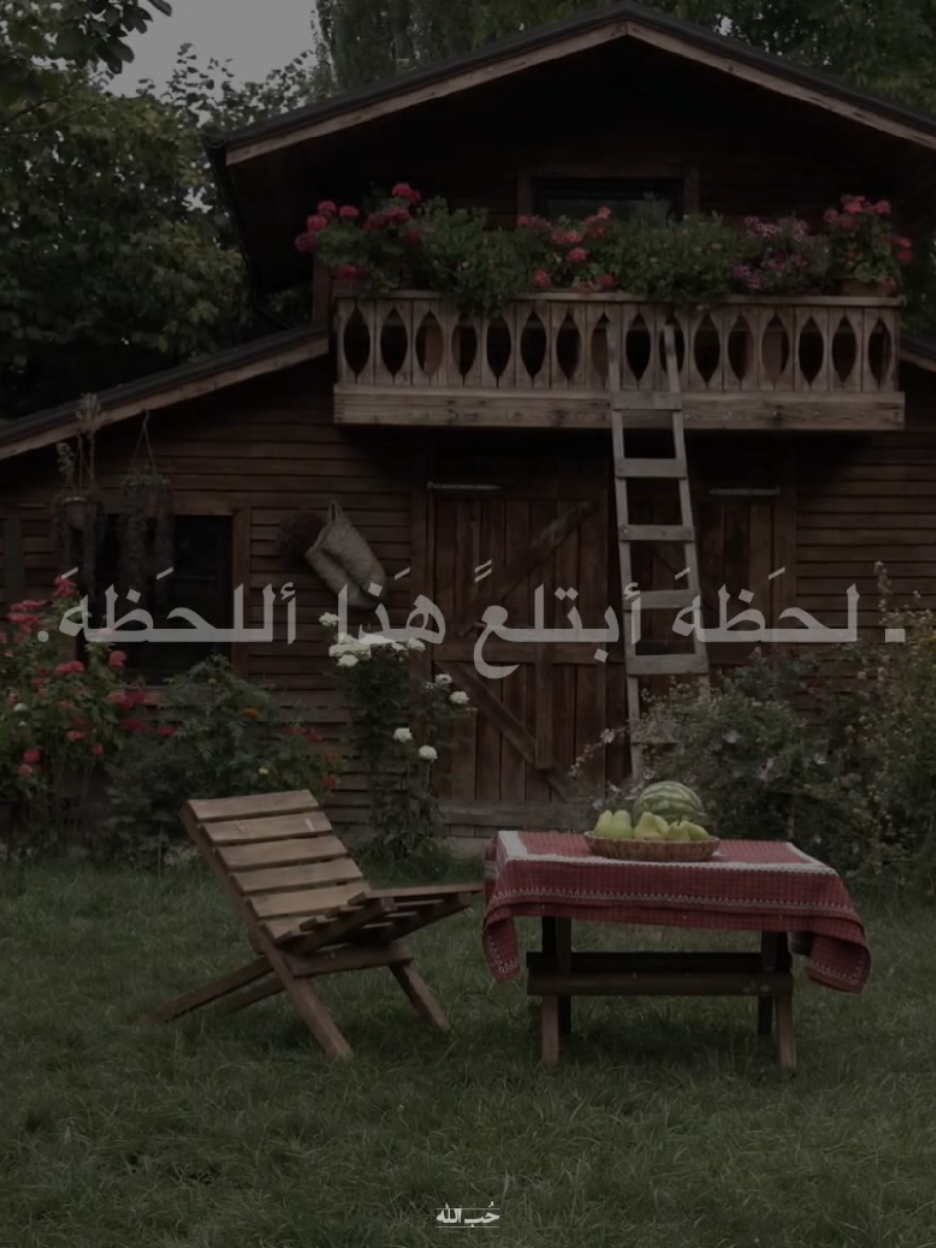 تنتَهيً القضيهَ #محمد_رضا_الشيرازي  #الشيخ_احمد_الوائلي  #اكسبلورexplore 