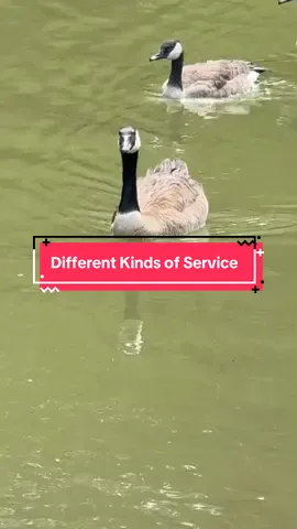 While there may be different gifts, ministries, and ways of serving, it's the same Lord who directs it all, and the same God who works in everyone! #christiantiktok #faithjourney #bibleverse #christiantok #actsofservice 