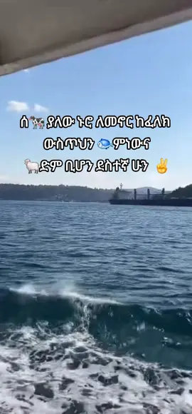 አሁን ያለንበት ሁኔታ ላም አሳ በግ