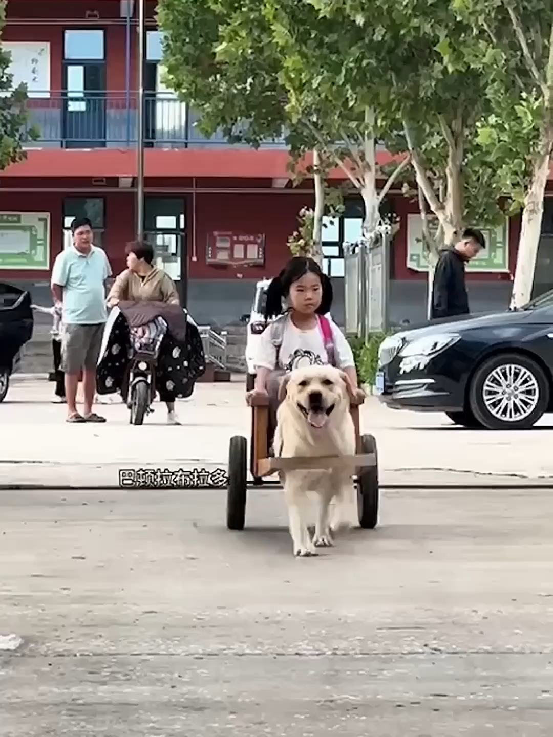 This Girl And Dog Have Unique Friendship! ❤️