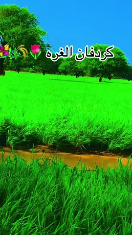 #مشاهير_تيك_توك #الشعب_الصيني_ماله_حل😂😂 