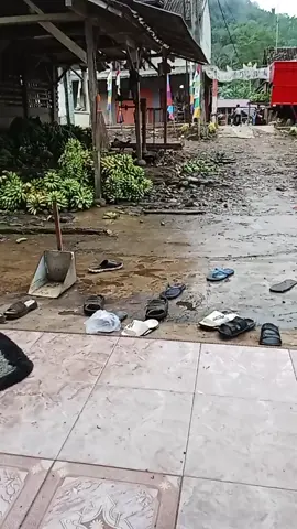 panggah muat Pokok e #cau balap 