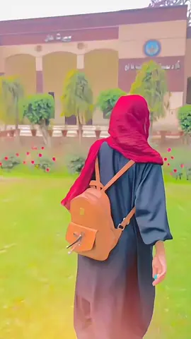 itx Amina 🦋🌸#foryou #foryoupage