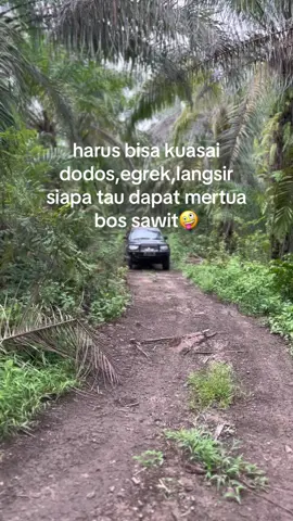 cihuyyyyy🤪😜😜#fyp#storysawit🌴🌴#petanisawit #fypage#fyppppppppppppppppppppppp 