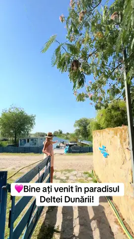 @Castalia-Delta Dunării  💸Lunile septembrie și octombrie:  275 lei camera dublă și apartament 380 lei pe noapte 💯Pensiunea se afla la 12 km de Satul Murighiol, pe malul Canalului Lipoveni/Lacul Razelm, in dreptul Satului Colina.  👉Din sat pana aici ajungeți pe un drum de 2 Km mai puțin asfaltat  👉Excursiile cu barca sunt o adevarata incantare si o bucurie sa poti simti linistea Deltei. Barcile sunt curate si va puteti plimba pe canelele cu nuferi, lebede si pelicani!  👉Aveti delicii dobrogene cat ai zice peste! ☺️Daca merita? Eu zic  ca merita din plin daca va place Delta sau doriti sa incercati un loc nou pentru momente frumoase in familie. #concediu2025 #vacanta2025🚣‍♀️🌴🌴🏝 #cazaredeltadunarii #fy #fyp 