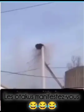 #Oiseaux_Pain #narutoshippuden #animetiktok 
