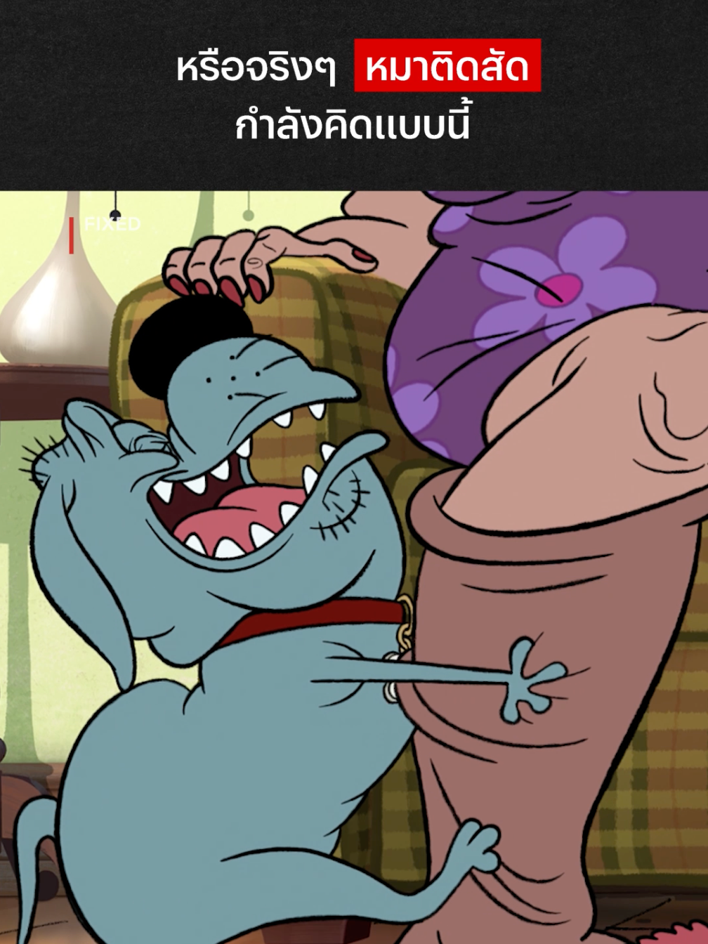 ฤดูผสมพันธุ์ทีไรเป็นแบบนี้ทุกที #NetflixThailand #Fixed #Dog #สวนสัตว์tiktok #หมา #animation #พากย์ไทย #เรื่องนี้ต้องดู #บันเทิงTikTok