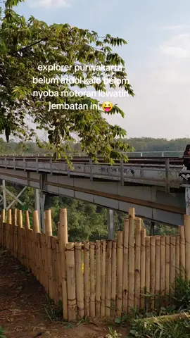 jangan kalah sama warlok yg nyantai tanpa takut² meskipun berlintasan sama kereta, asal jangan nongkrong dipinggir rel karna dilarang. #purwakartaistimewa  #jembatancisomang  #exlpore 