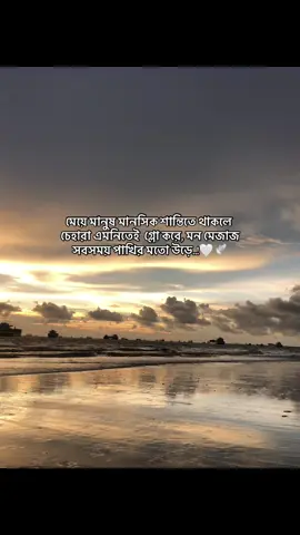 🤍🕊️#the_reality #trending #foryou #foryou #Love 