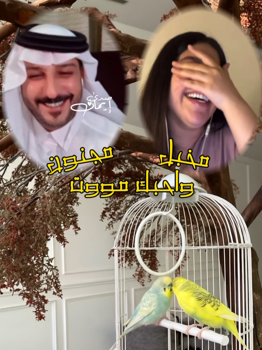 دويتو دارميات حنوش والشاعر ثامر الفاعوري @ثامر الفاعوري 🤍 @حنوش @ALHASHMI🇰🇼🦅  #حنوش #ثامر_الفاعوري #دارميات #صدى🤍إيمان 