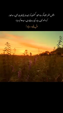 🖤 دل  #tiktok #ownedit #foryoupage #edits #contentcreator 