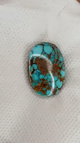 NATURAL PIRUS PERSIA TOSCA BLUE URAT MERAH  #pyfツ #fouryoupage #4u #piruspersia #berandatiktok 