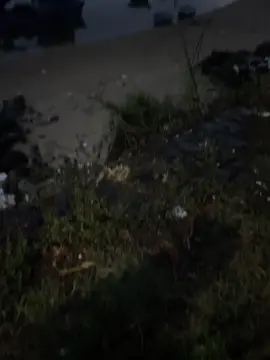 “Hoa kia rồi cũng sẽ tàn”