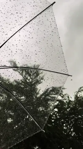 احلى صوت 🥹