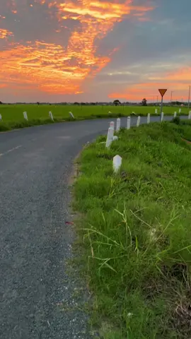 Chậm lại vài phút #nature #chill #livingnature #fyp #songcham 