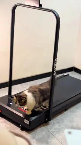 Olahraga bareng kimberly #treadmillsonix #treadmilldance #sonixtreadmill #treadmillworkout #sonixtreadmill 