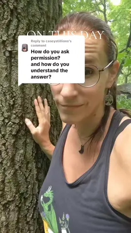 #onthisday Lots of people ask me how to ask a tree for permission so here's the replay from last year #trees #treecommunication 