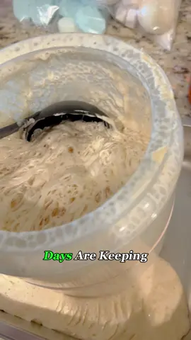 Why Are People Keeping This Wiggly Blob as a Pet?
 #sourdoughstarter #pet #food #bread #fyp #foryou #oddlysatisfying #knowledge 