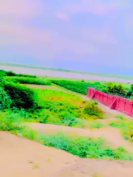 #like karo sary #foryoupage 