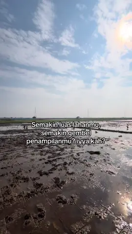 #zfarmid #petaniindonesia🇮🇩🇮🇩🇮🇩🌿🌿 #petanimodern #petanisukses #fypシ #petanimilenial 