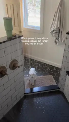 Cute and funny little goat #funny #tiktok #cute #fouryou #fyp #happy #animals #farm #baby #goat 