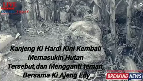 Kembali Lagi Ke Hutan larang,,,