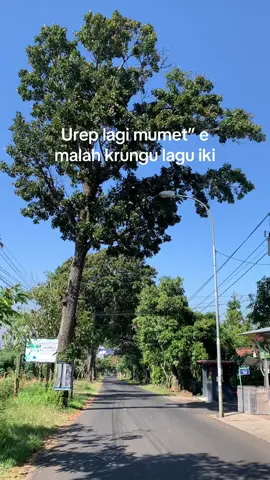 Kurang gedeee😭😭 #fyppppppppppppppppppppppp #foryou #4u 