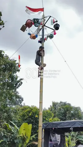 panjat pinang 