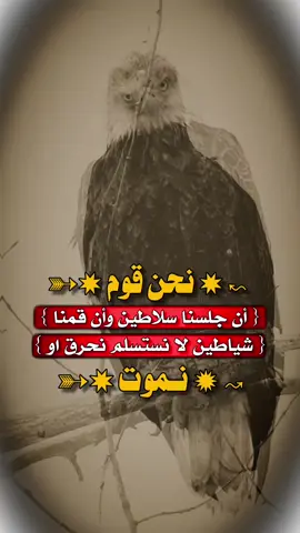 #استوريات #عبارات_جميلة_وقويه😉🖤 #مجرد________ذووووووق🎶 #اكسبلورexplore #fypシ゚viral🖤tiktok☆♡🦋myvideo 