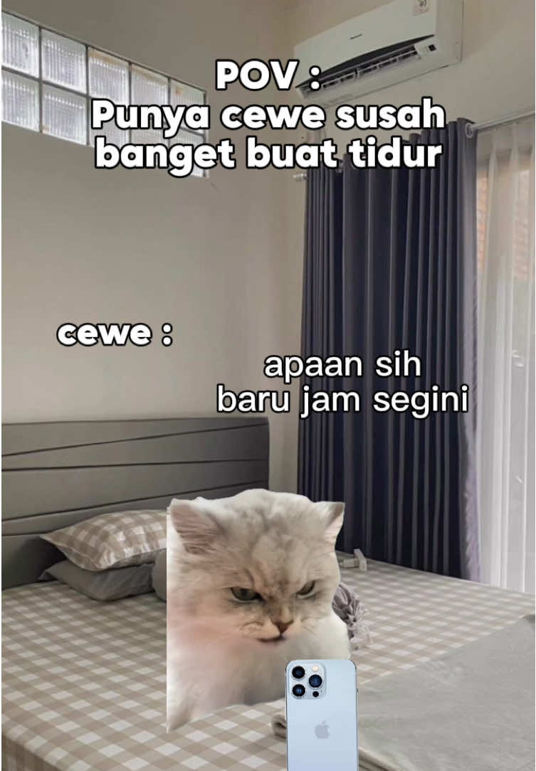 OVT berakhir begadang #memestiktok #memetiktok #anabul #kucing #fyp 