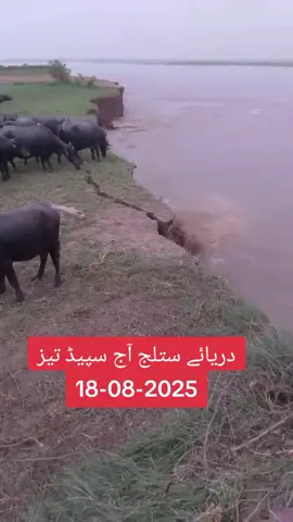 اللّٰہ پاک معاف فرمائے آمین 